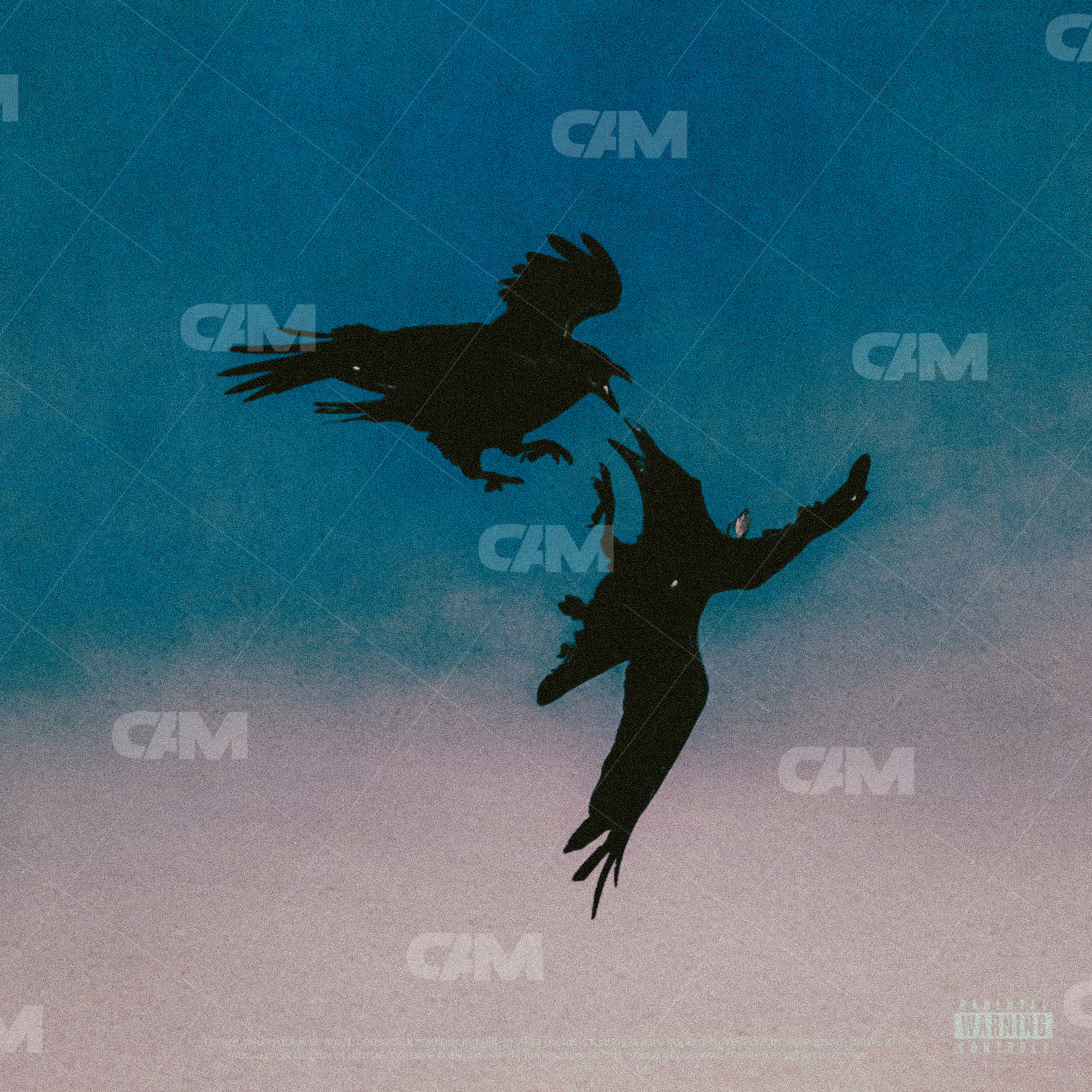 Crows