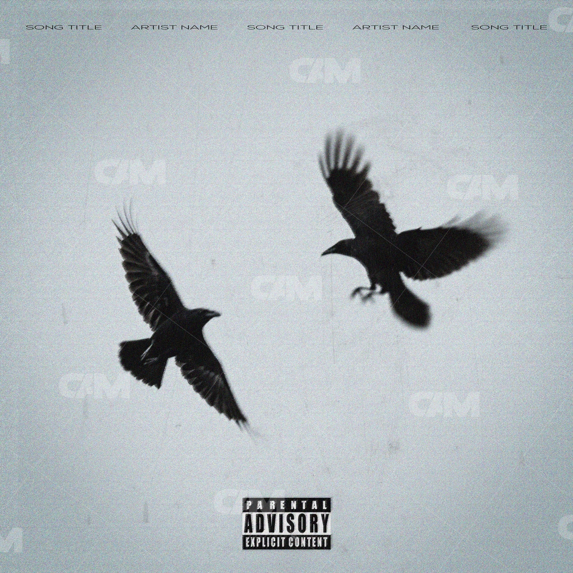The Black Crow