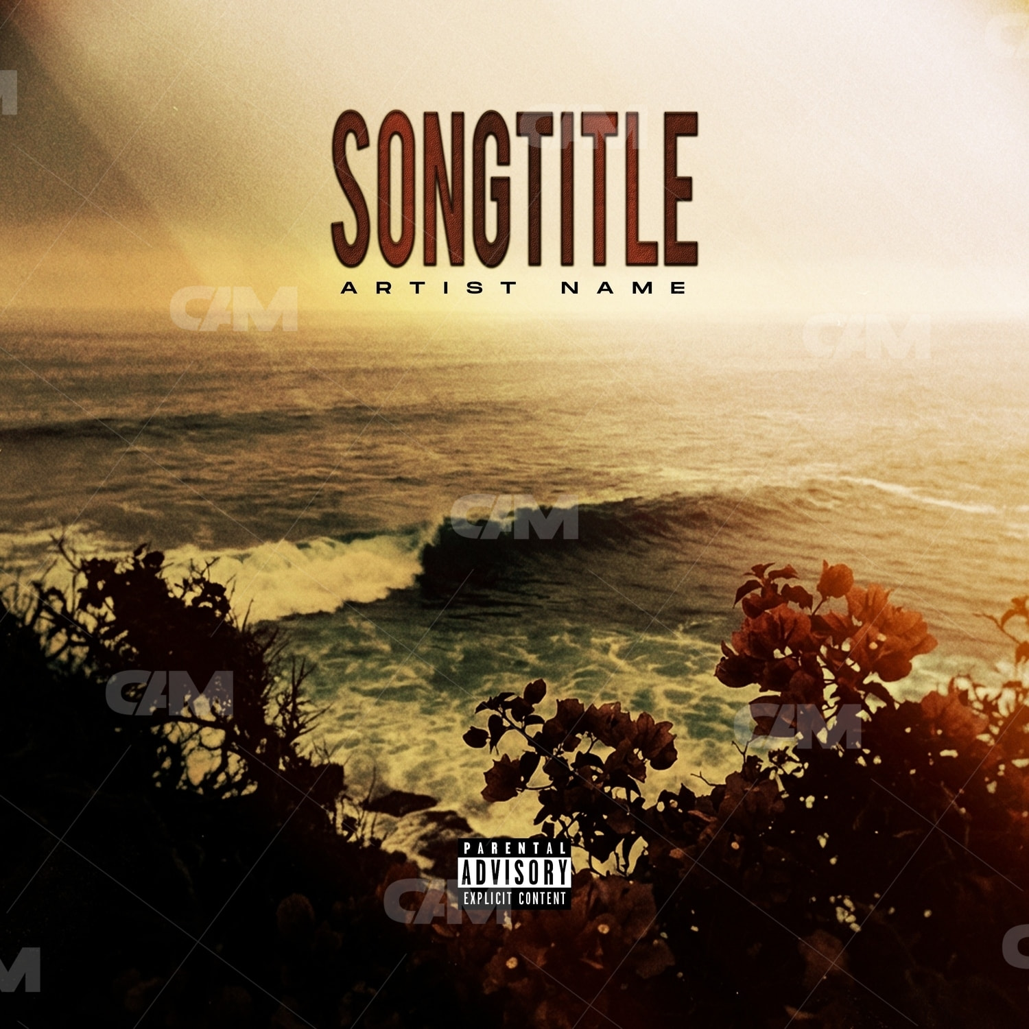 Vibe