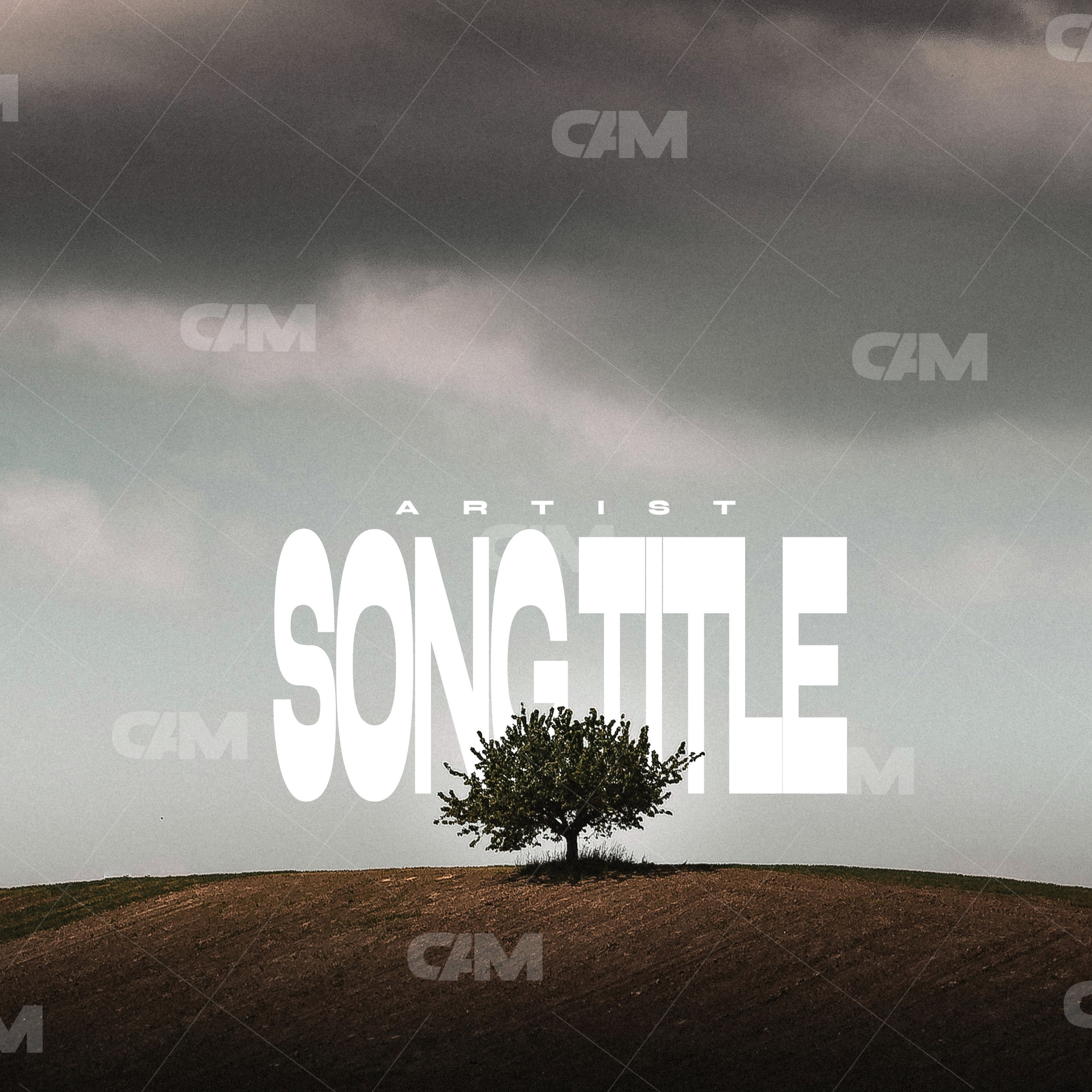 Lonely Tree