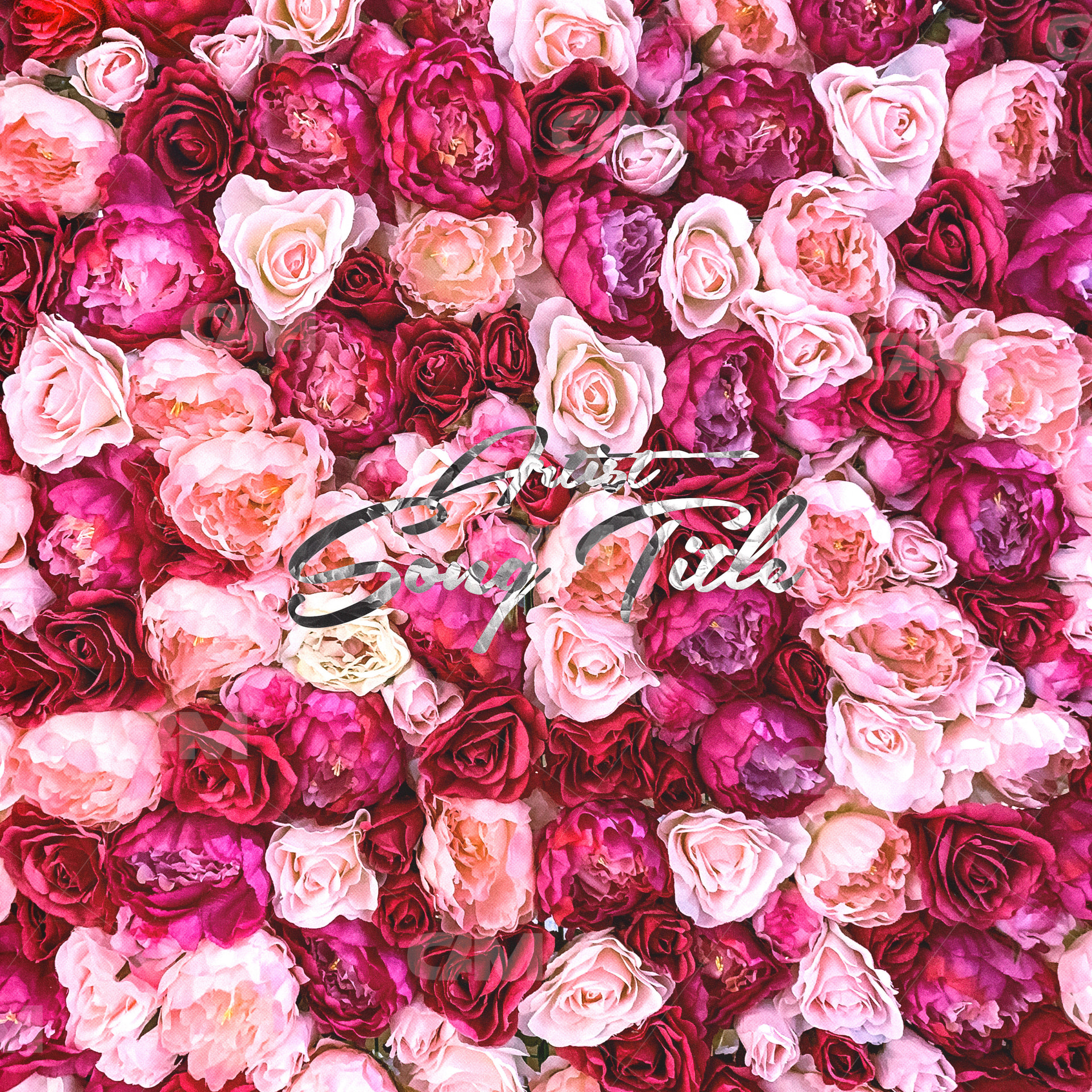 Roses Text