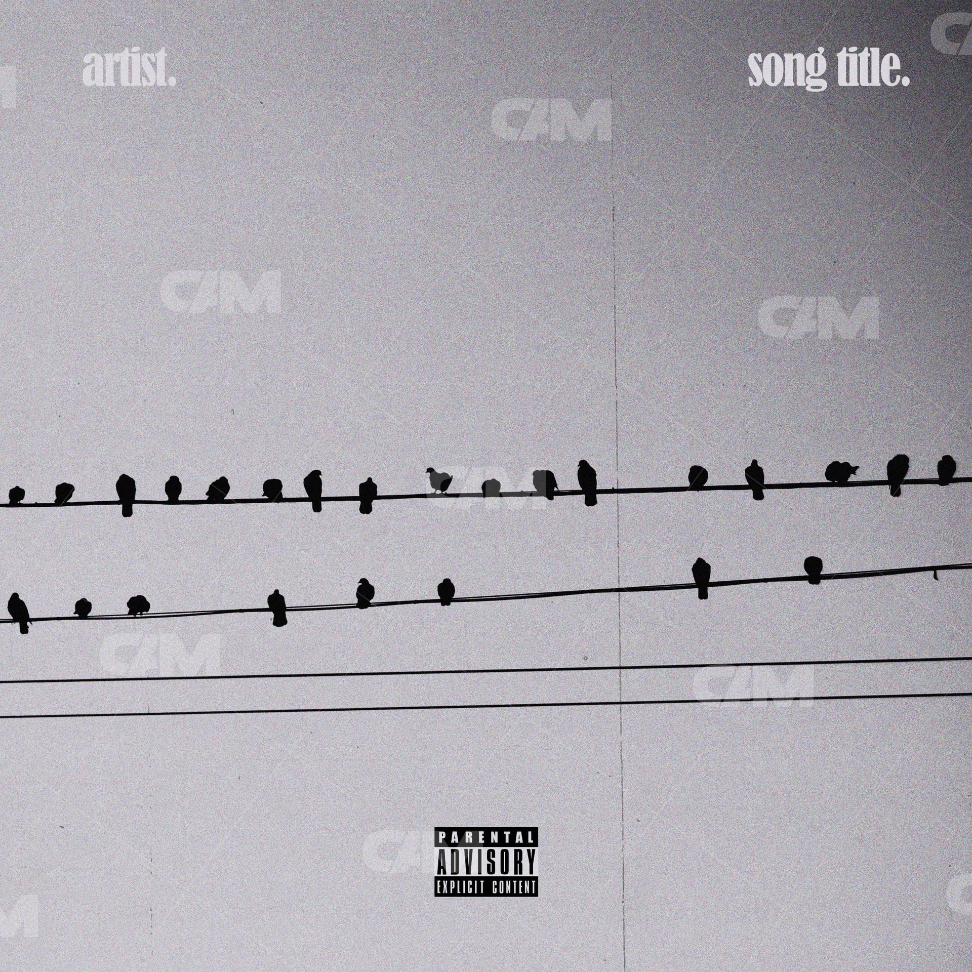 Flock