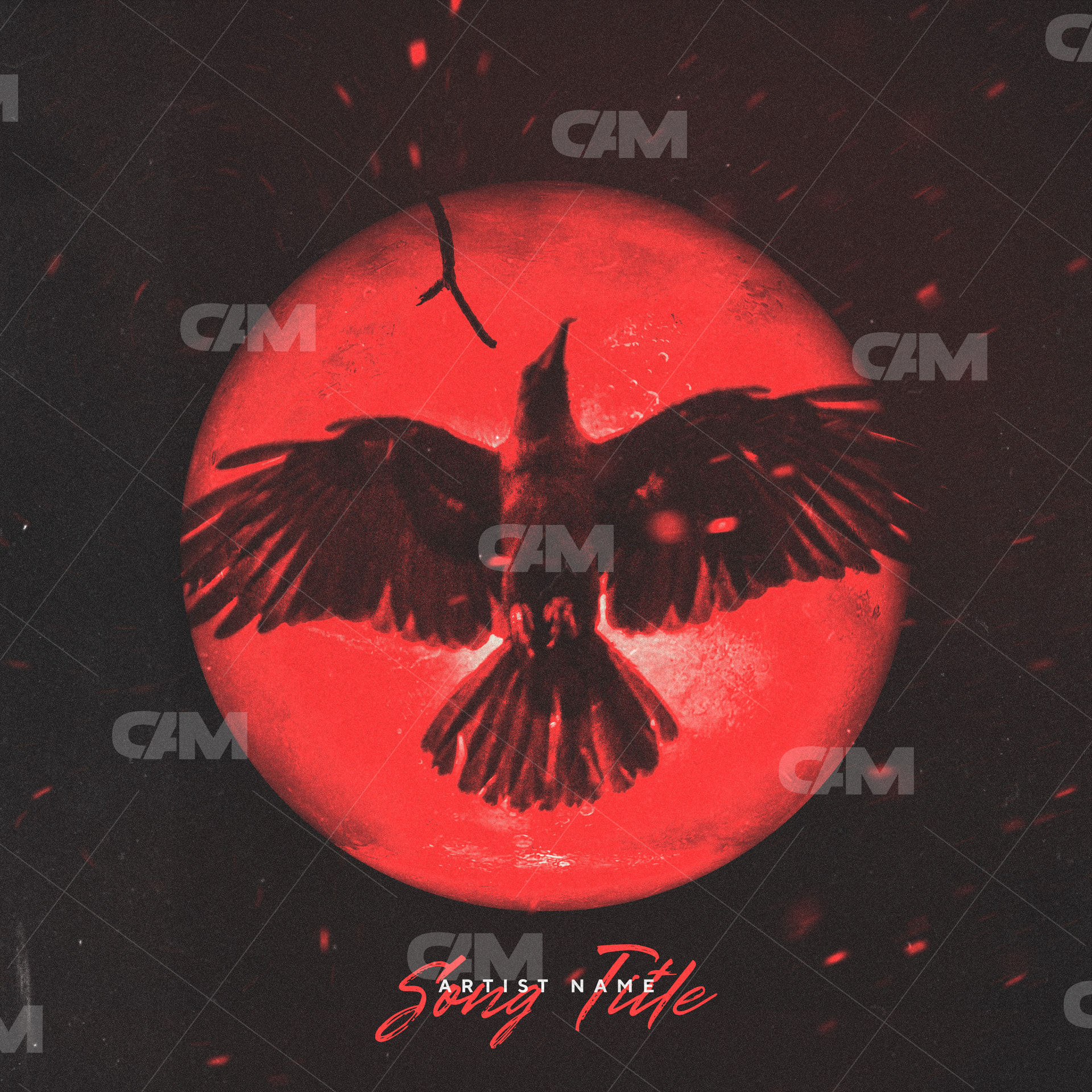 Bird Moon