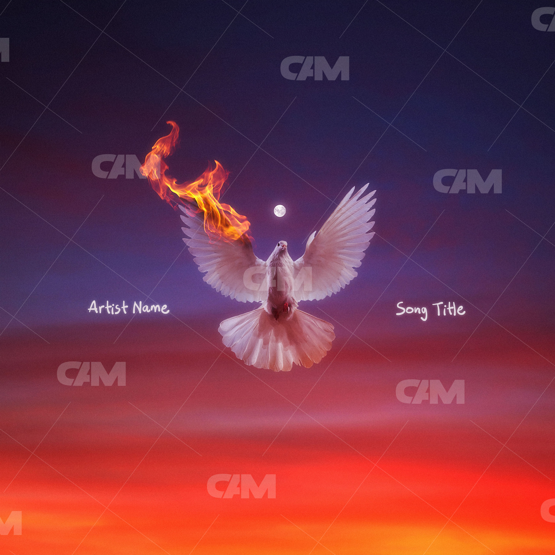 Burning Dove