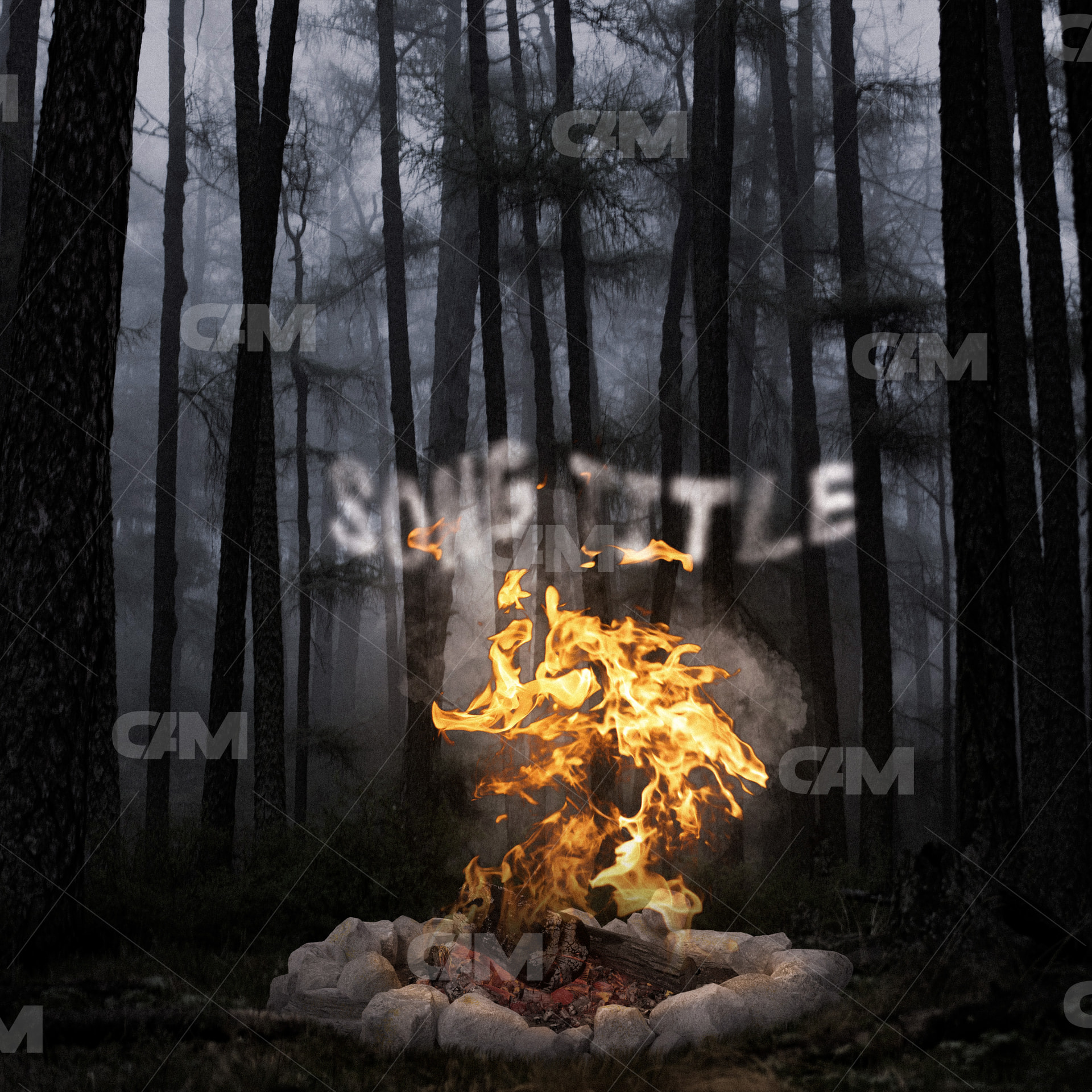 Campfire In Forest 2