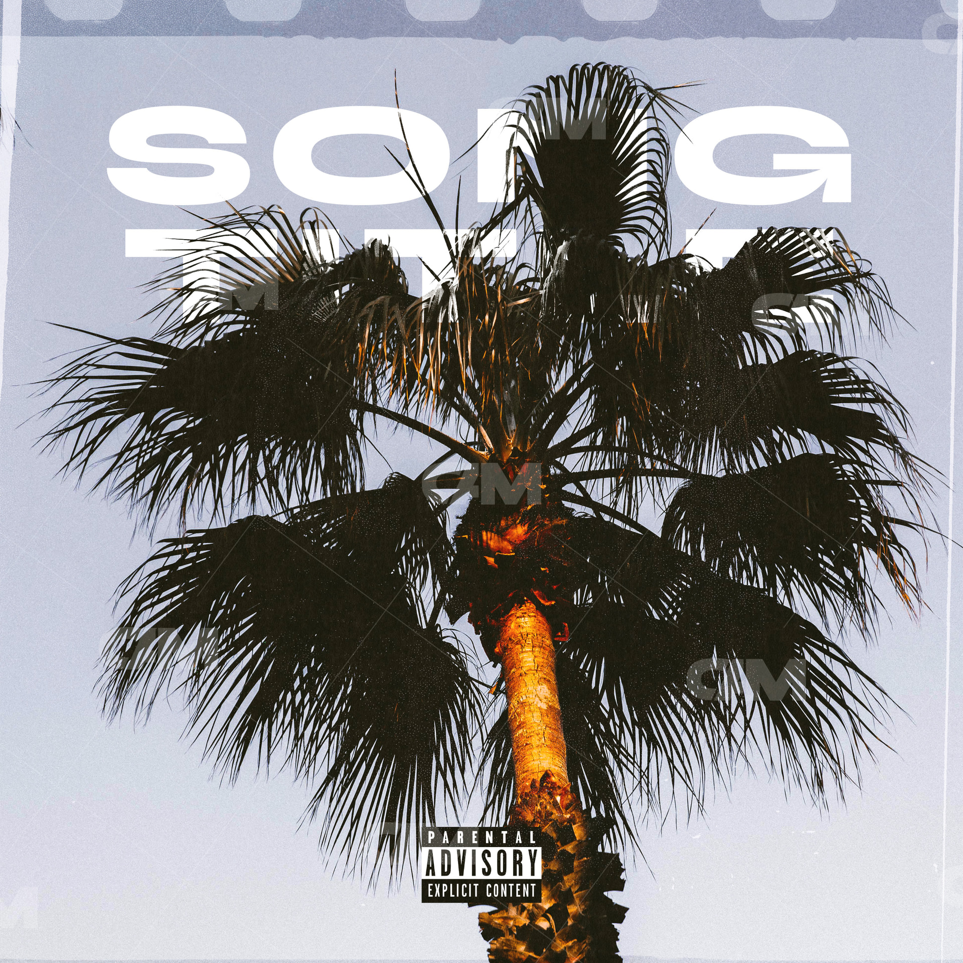 Palm Text