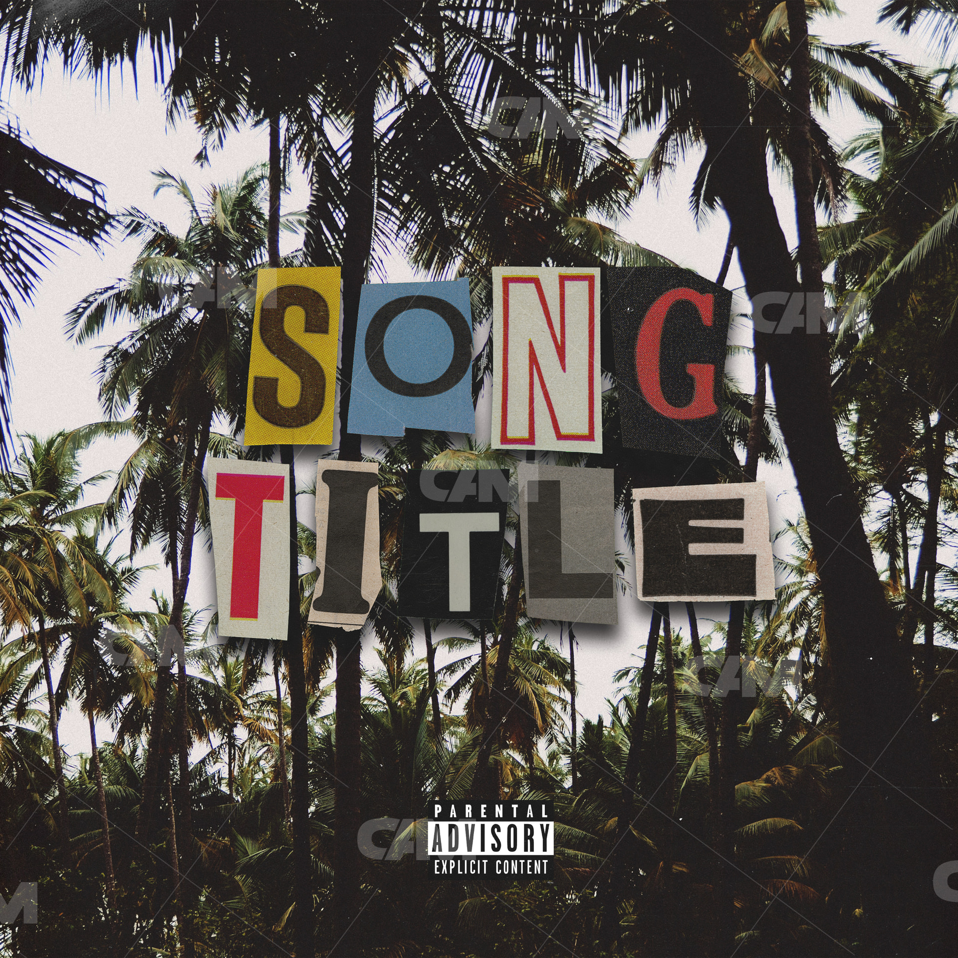 Palms &amp; Ransom Letters