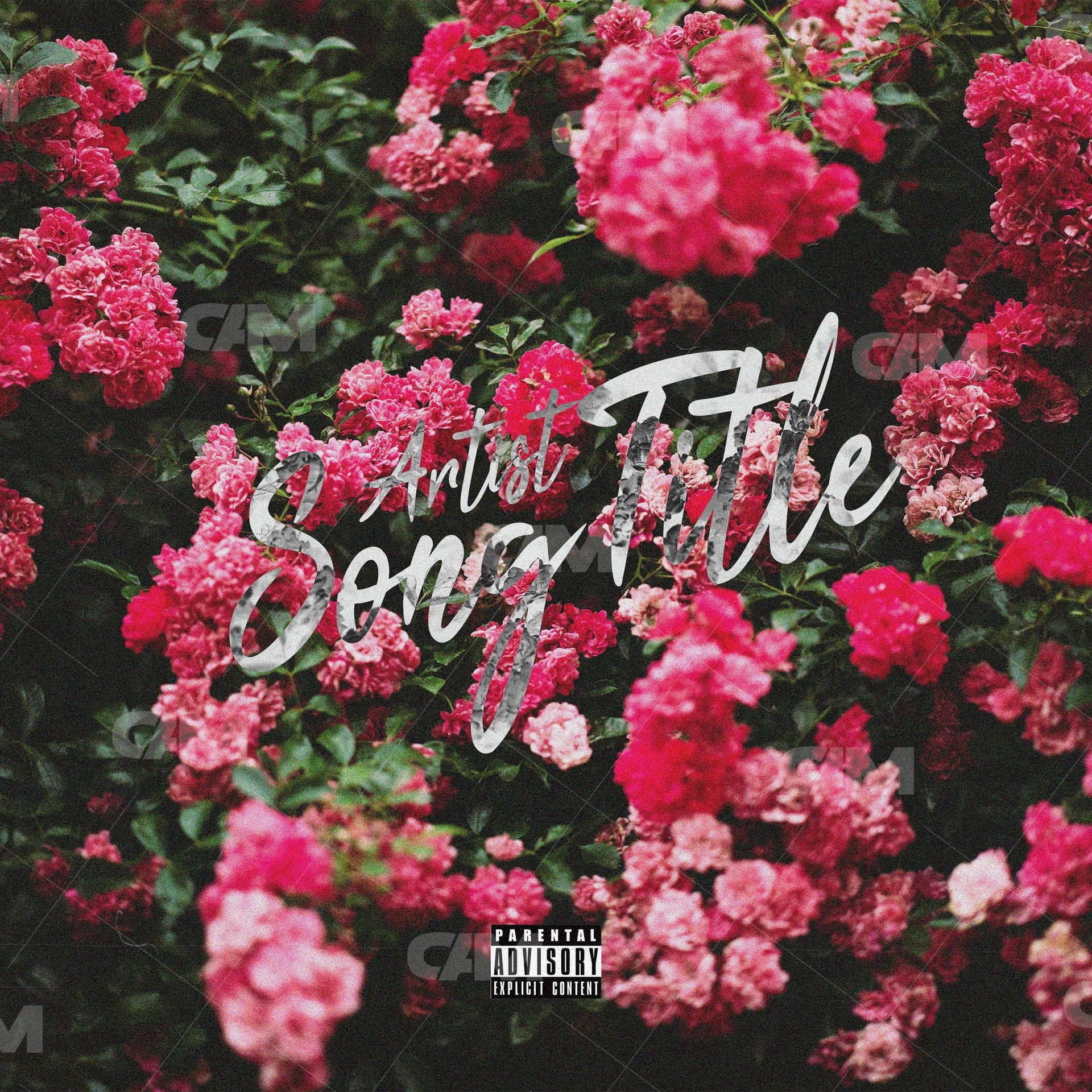 Rose Background