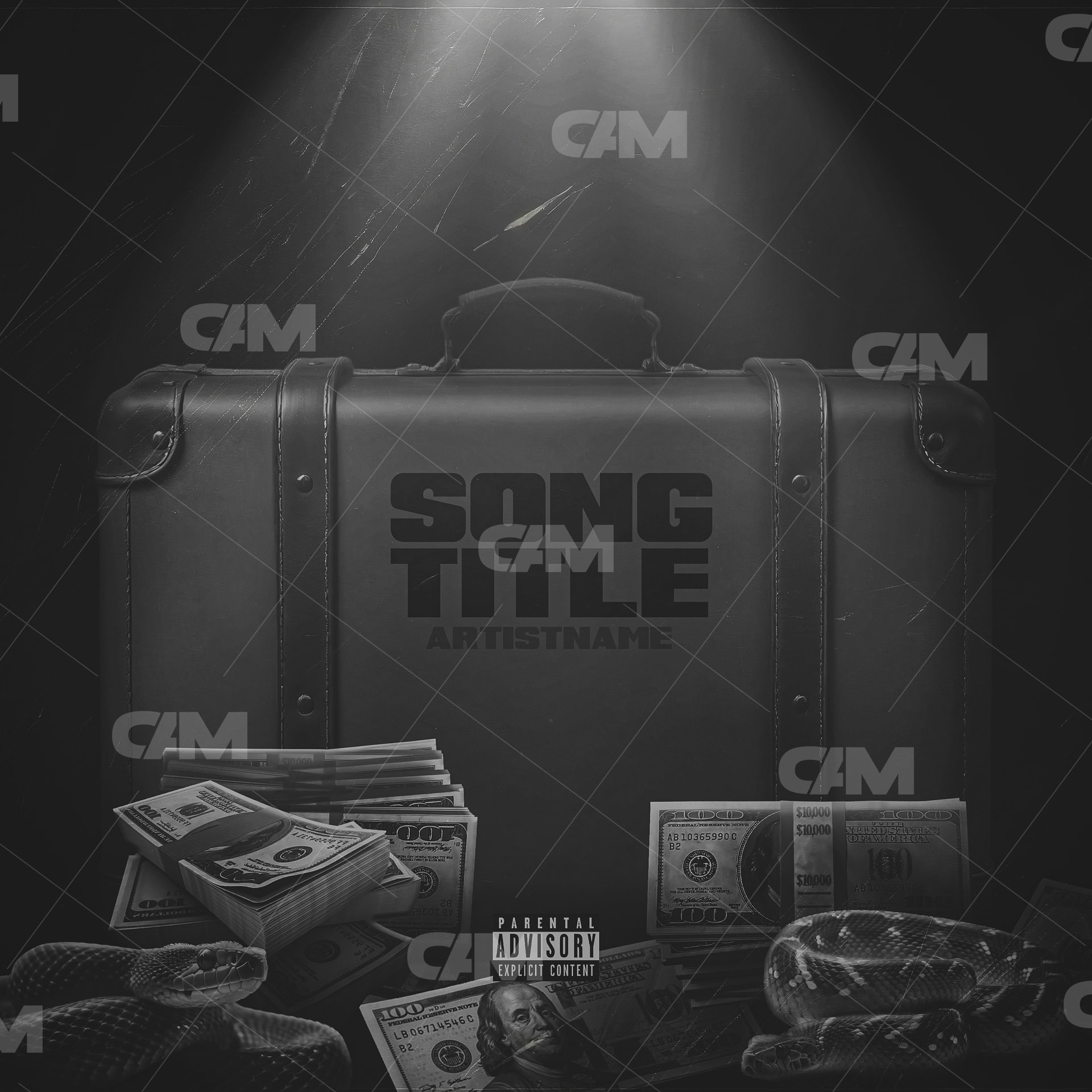 Suitcase